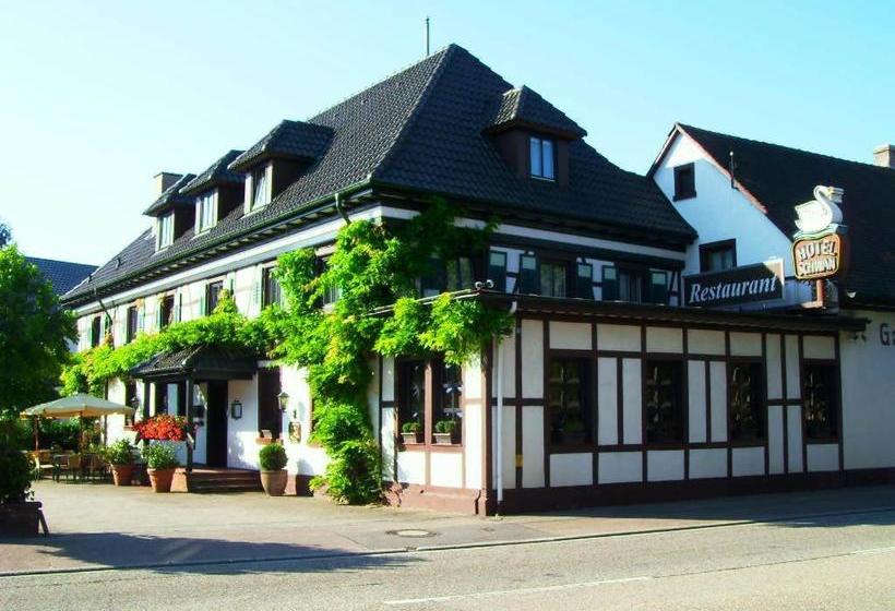 هتل Schwan