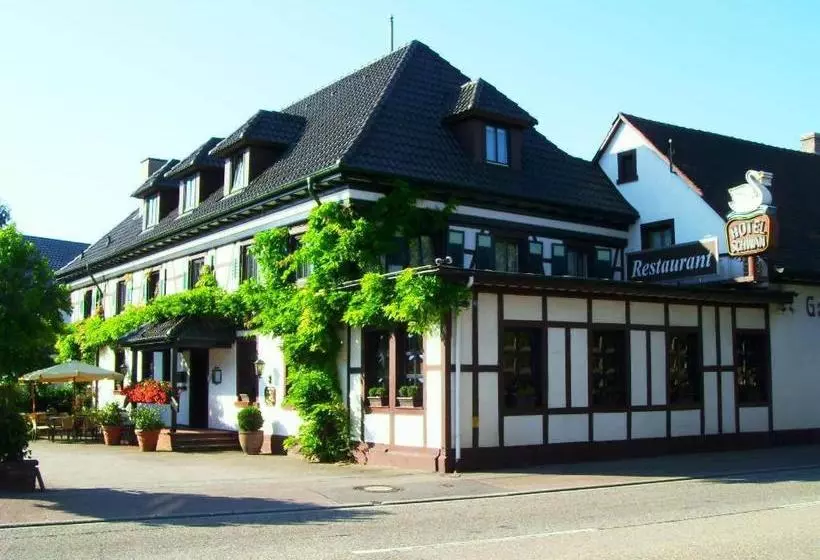 Hotelli Schwan