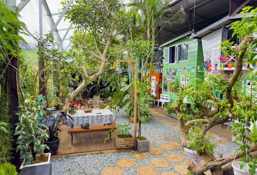 تختخواب و صبحانه Gio Homestay