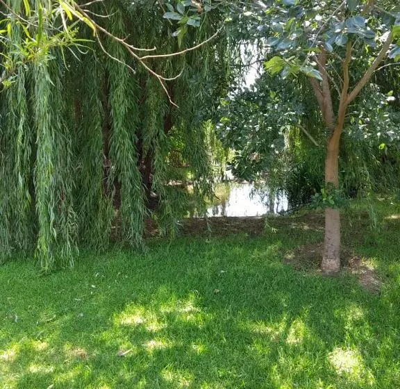 Aamiaismajoitus (B&B) Hiflyerz Guest House