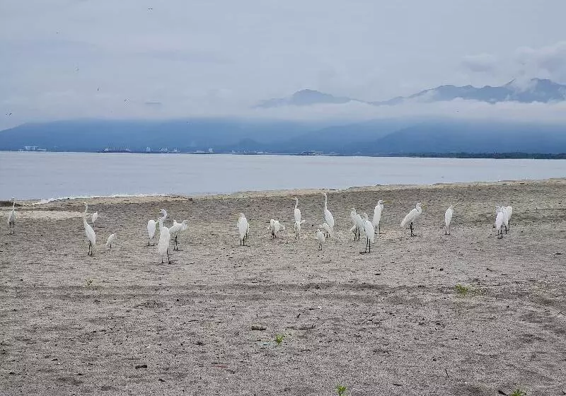 Hotelli Chevere Beach Cabanas Sas