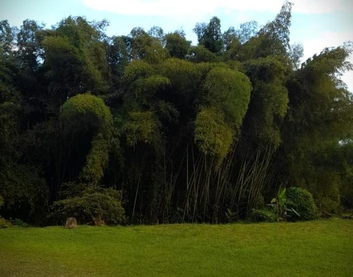 هتل Filandia Finca Rural La Guadalupana