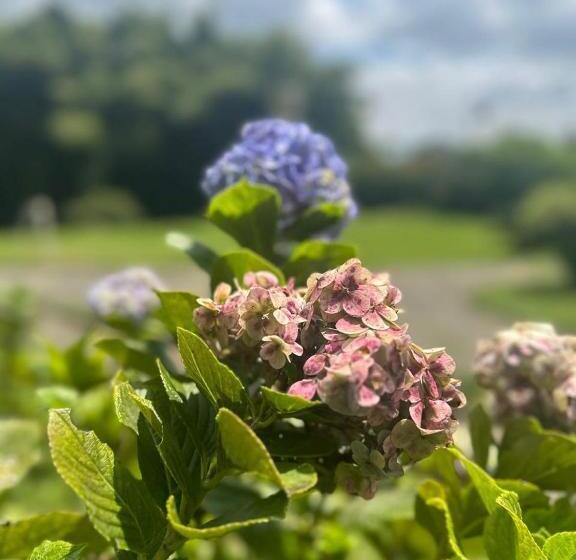 هتل Filandia Finca Rural La Guadalupana