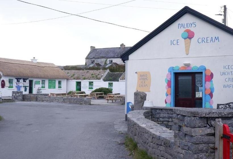 بنسيون Kilmurvey House