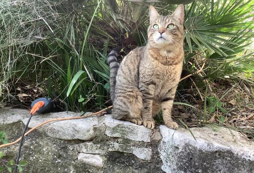 펜션 La Maison Du Bonheur