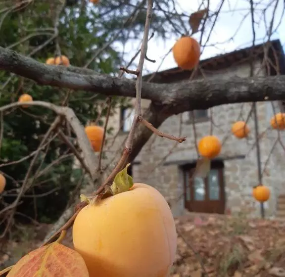 Villa La Passione B&b