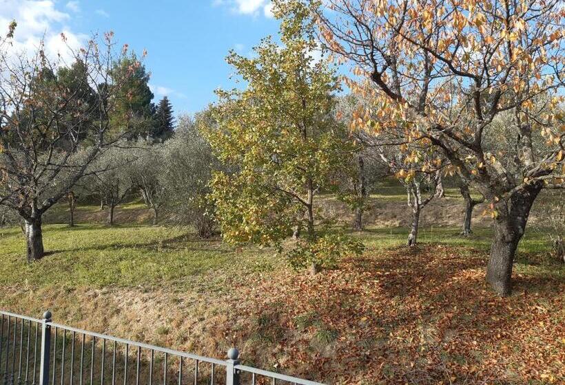 Villa La Passione B&b