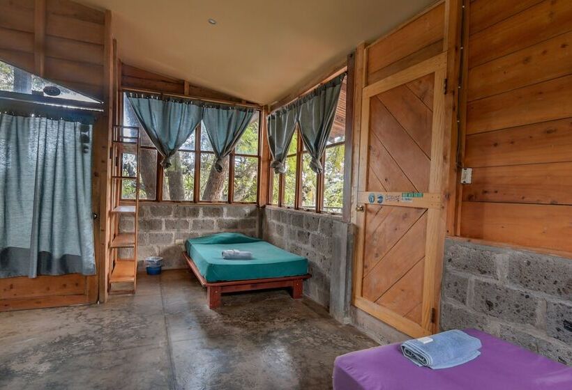 هتل Esencia Nativa