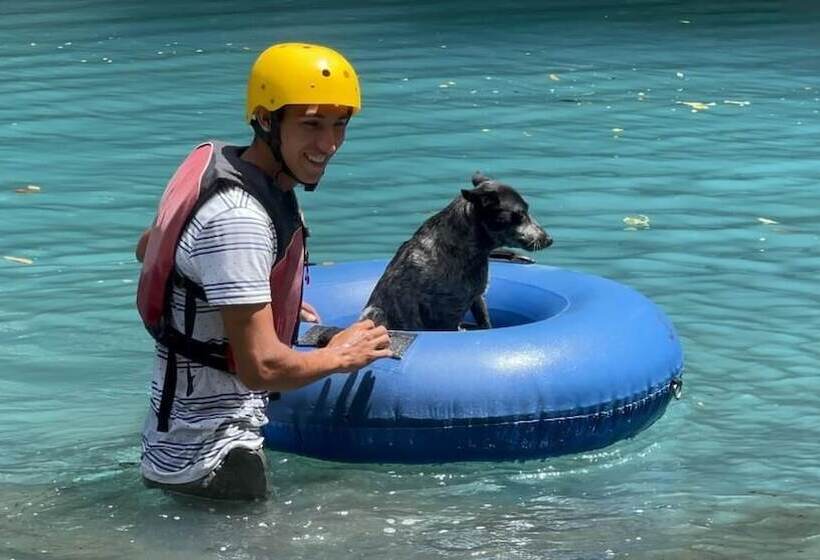 酒店 Rio Celeste To Know