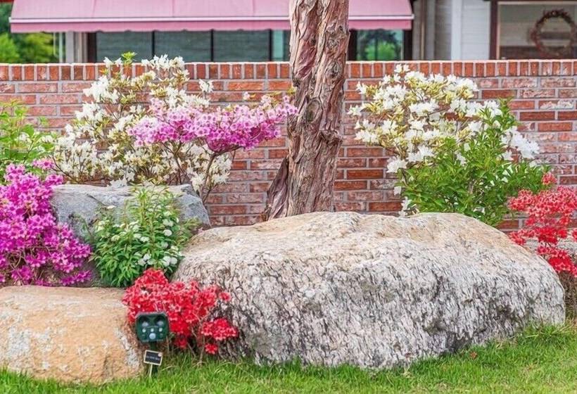 Pensiune Dal Geulim Goun