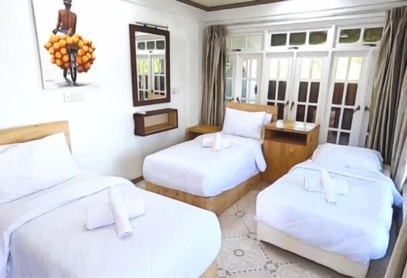 بنسيون Go Surf Maldives