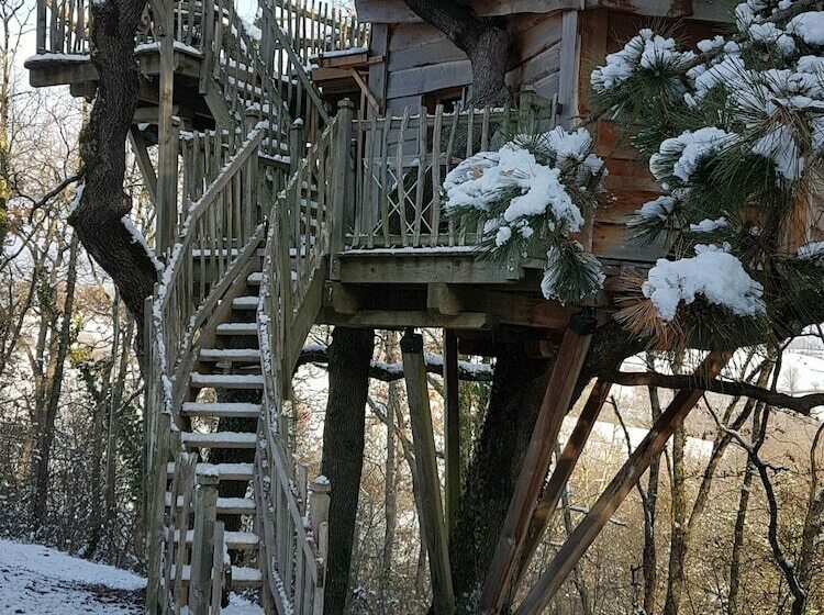 ベッドアンドブレックファースト Arbrakabane