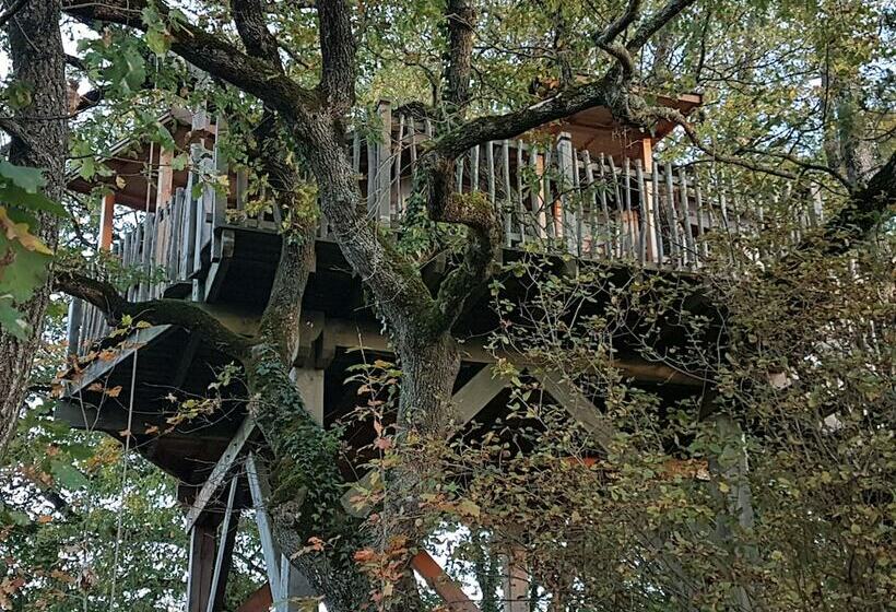 ベッドアンドブレックファースト Arbrakabane