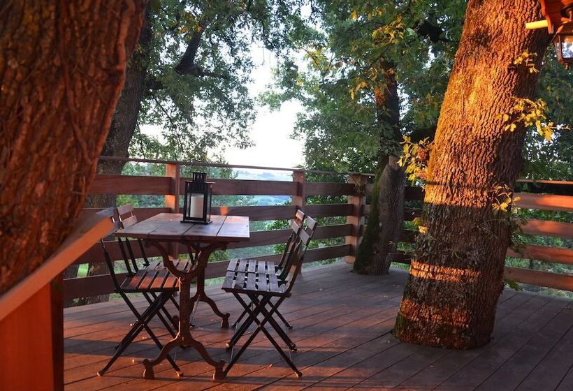 ベッドアンドブレックファースト Arbrakabane