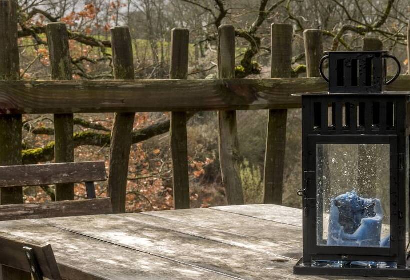 ベッドアンドブレックファースト Arbrakabane