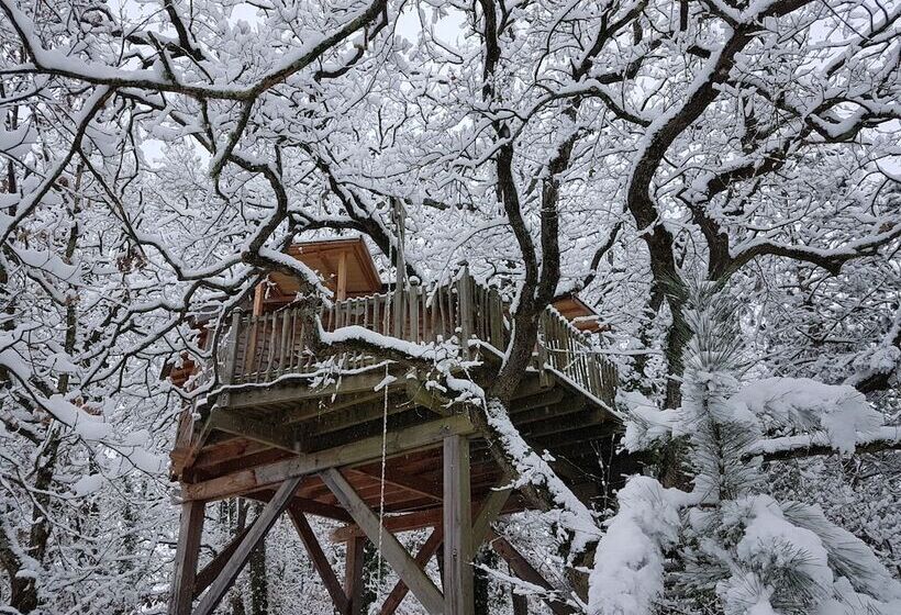 ベッドアンドブレックファースト Arbrakabane