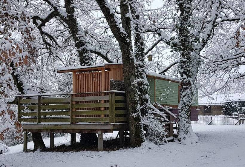 ベッドアンドブレックファースト Arbrakabane