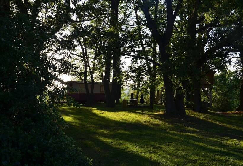 ベッドアンドブレックファースト Arbrakabane