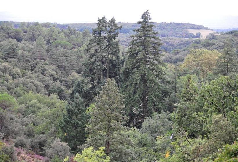 مبيت وإفطار La Forge De Montolieu