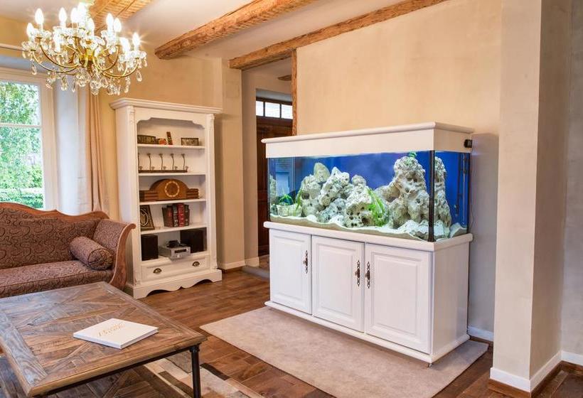 La Vieille Vigne Bed & Breakfast