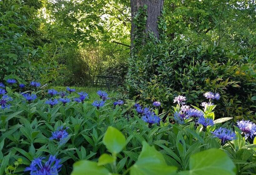 مبيت وإفطار Le Clos De L Ambre