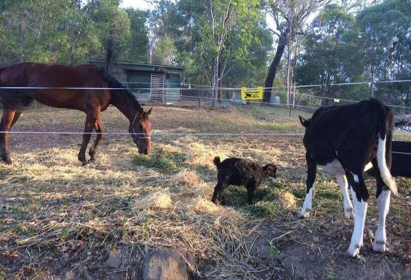 住宿加早餐 Pearl Of Contentment Retreat
