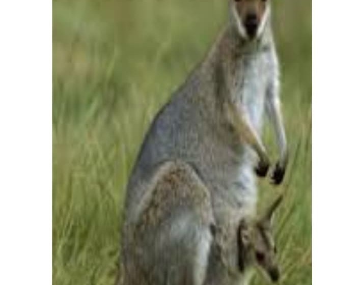 住宿加早餐 Pearl Of Contentment Retreat