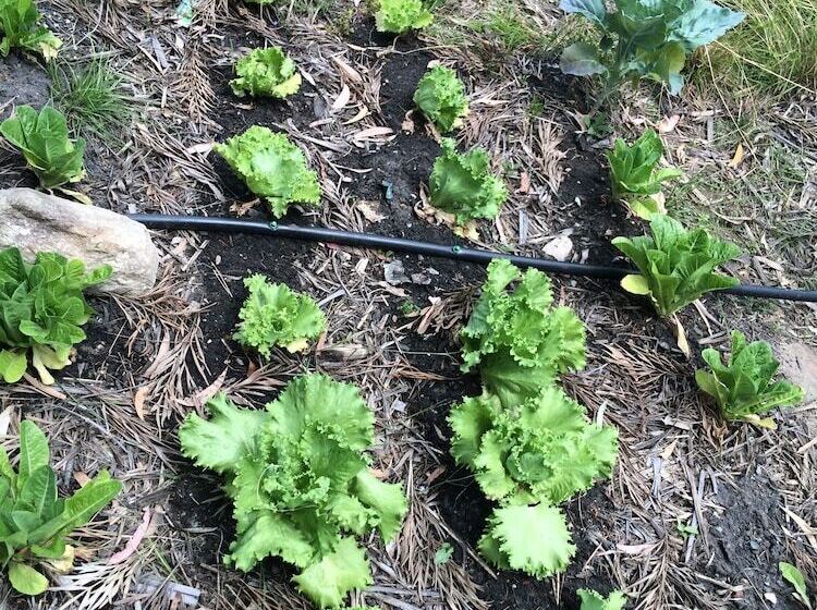 住宿加早餐 Pearl Of Contentment Retreat