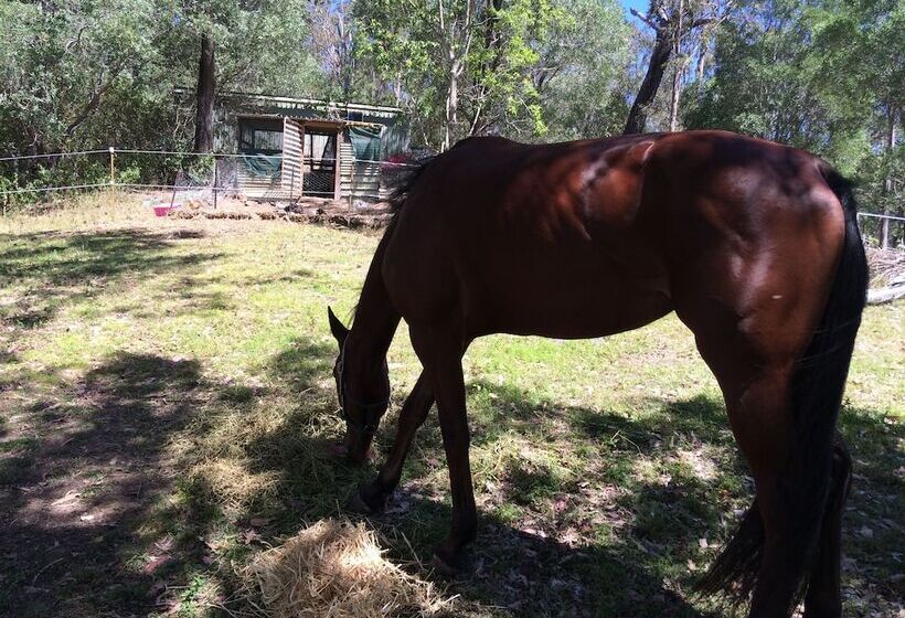 住宿加早餐 Pearl Of Contentment Retreat
