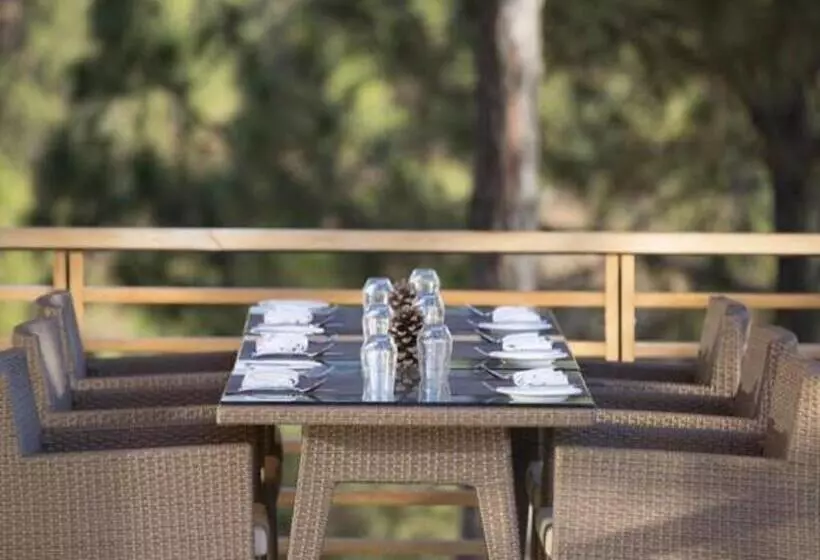 هتل Dhensa Resort