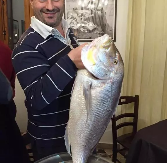 Hotelli Il Pirata