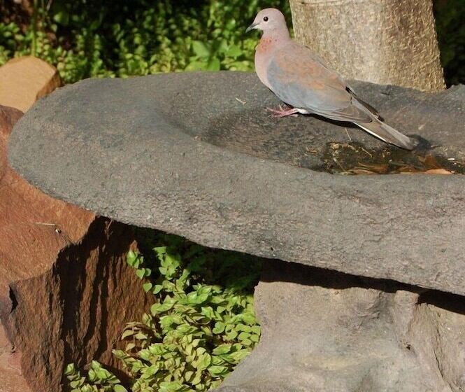 פנסיון A La Martha S Airport Guest House