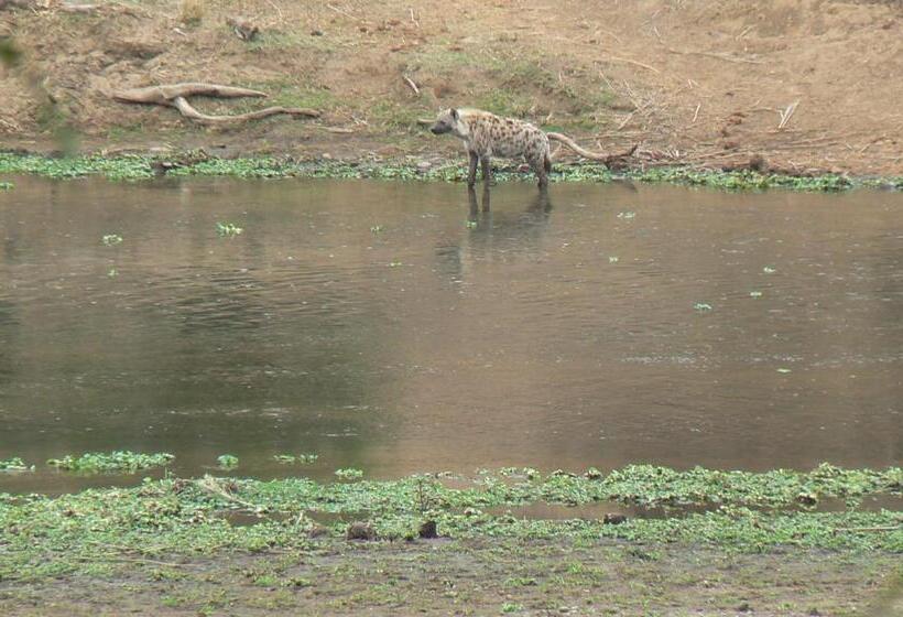 פנסיון Hennie's Rest