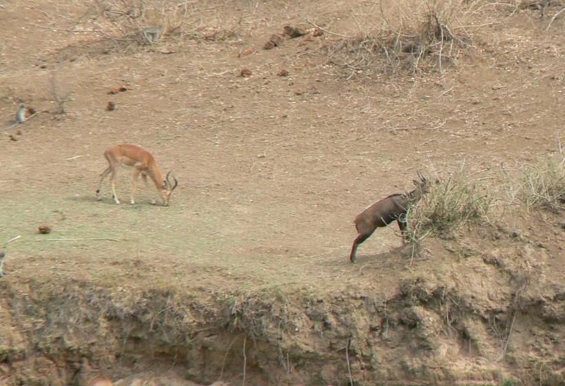 פנסיון Hennie's Rest