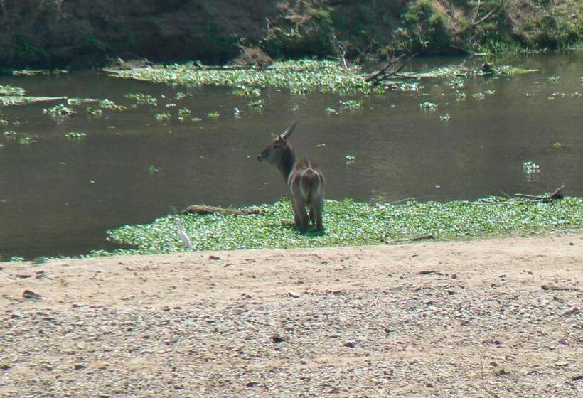 פנסיון Hennie's Rest