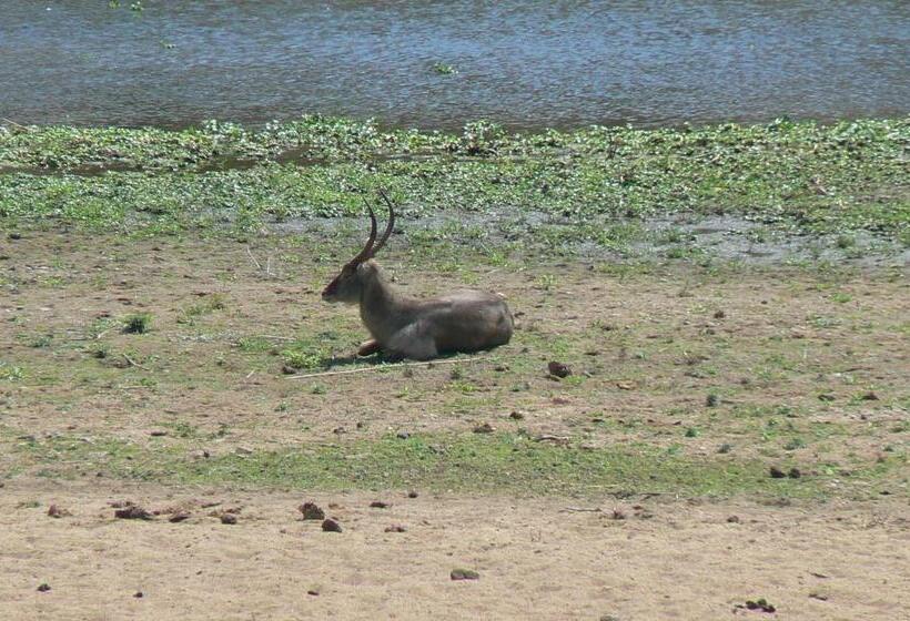 פנסיון Hennie's Rest