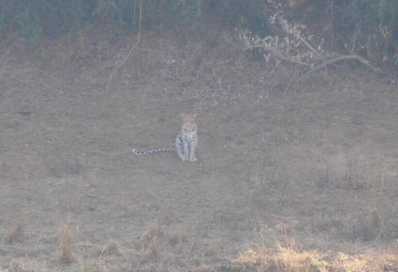 פנסיון Hennie's Rest