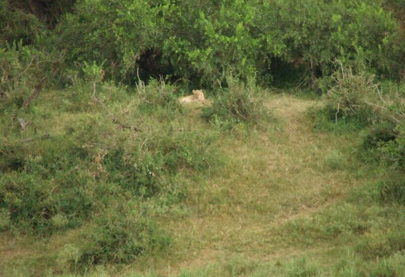 פנסיון Hennie's Rest