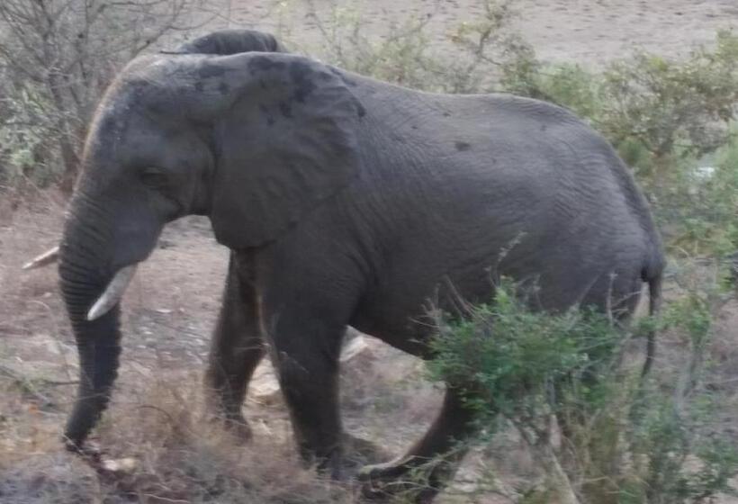 פנסיון Hennie's Rest