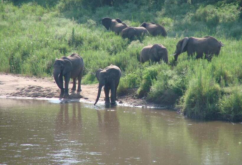 פנסיון Hennie's Rest