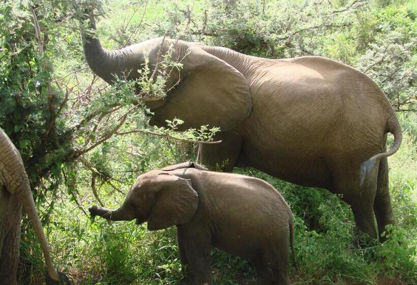 פנסיון Hennie's Rest