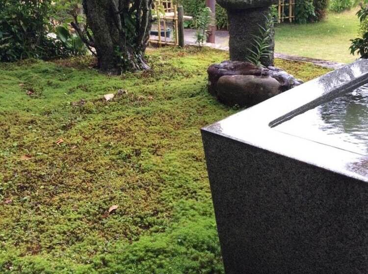 بنسيون Temple Stay Tsushima Seizanji