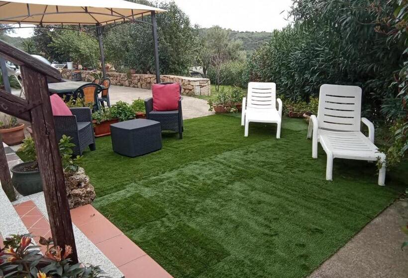 تختخواب و صبحانه Bandi House