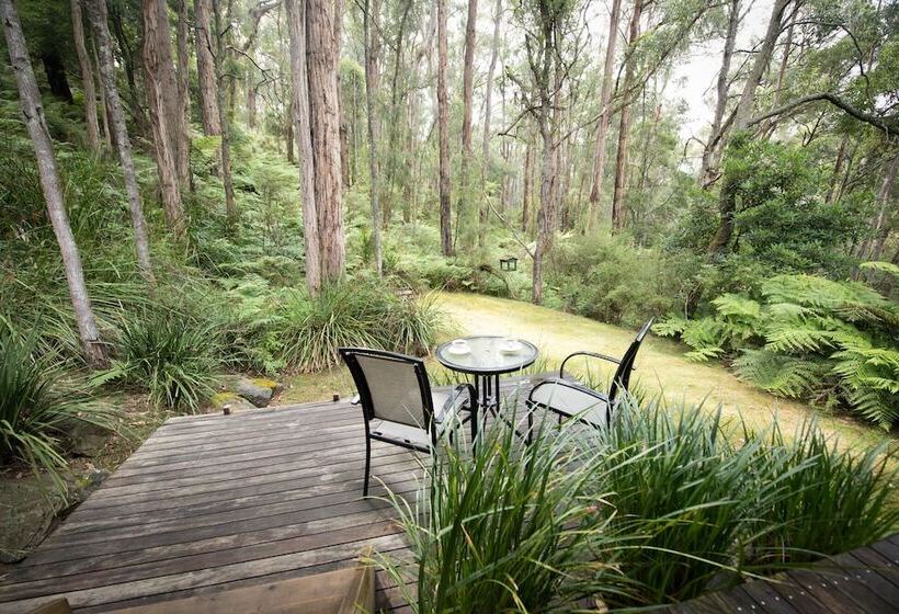 ベッドアンドブレックファースト Myers Creek Cascades Luxury Cottages