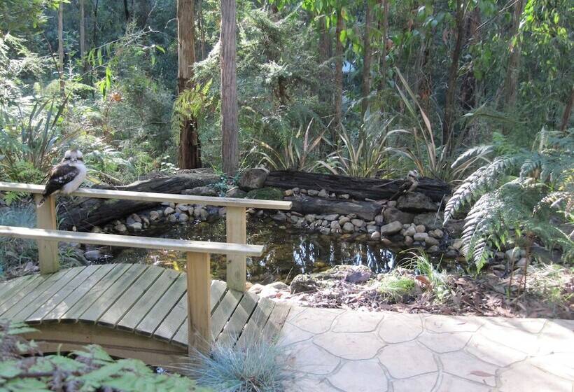 ベッドアンドブレックファースト Myers Creek Cascades Luxury Cottages