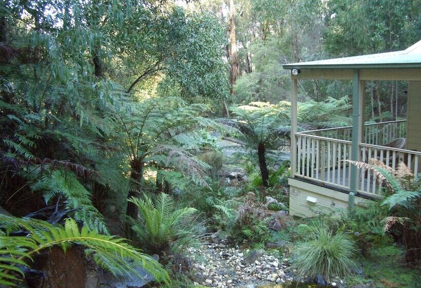 ベッドアンドブレックファースト Myers Creek Cascades Luxury Cottages