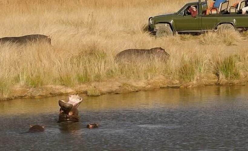 בית מלון כפרי Kwaggashoek Game Ranch
