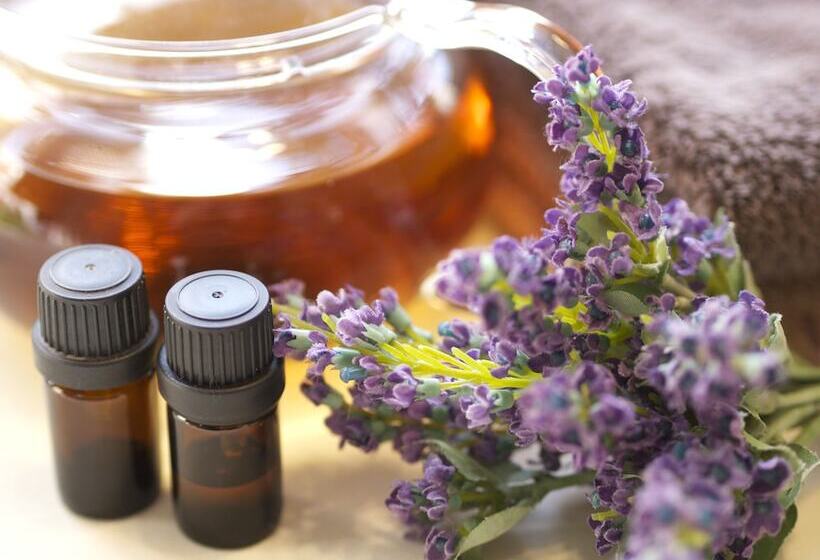 Отель Shinyu No Yado Sazana