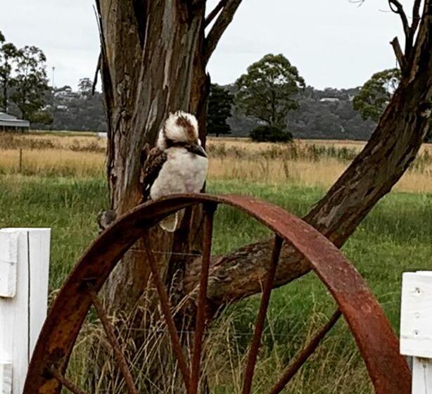 Pelican Point Sanctuary