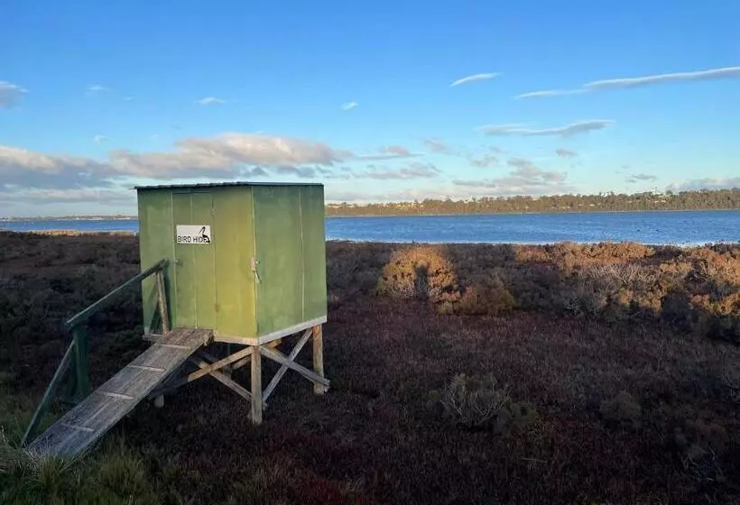 Pelican Point Sanctuary